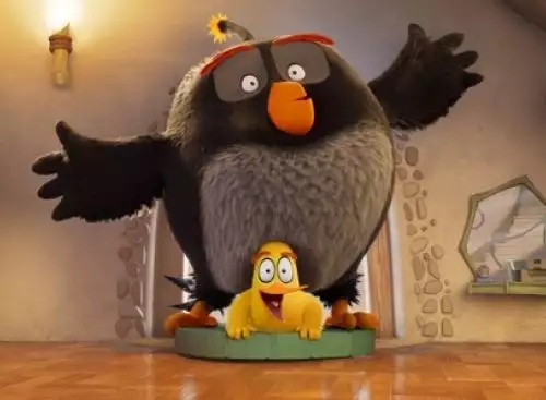 TheAngryBirdsMovie3_134296518574146945_big-cine_deskt.webp